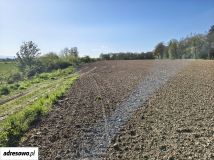 Działka budowlana Otmuchów Sarnowice. Zdjęcie 2
