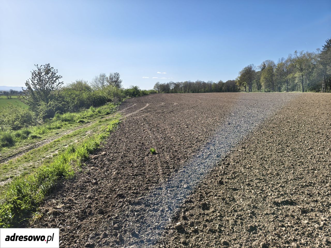 Działka budowlana Otmuchów Sarnowice. Zdjęcie 3