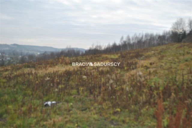 Działka rolno-budowlana Głogoczów. Zdjęcie 1