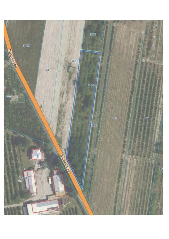 Działka rolno-budowlana Kociszew. Zdjęcie 1