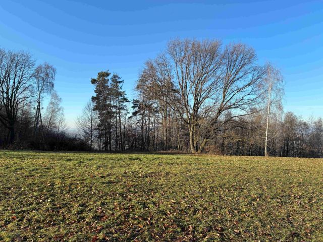 Działka budowlana Zręczyce. Zdjęcie 1