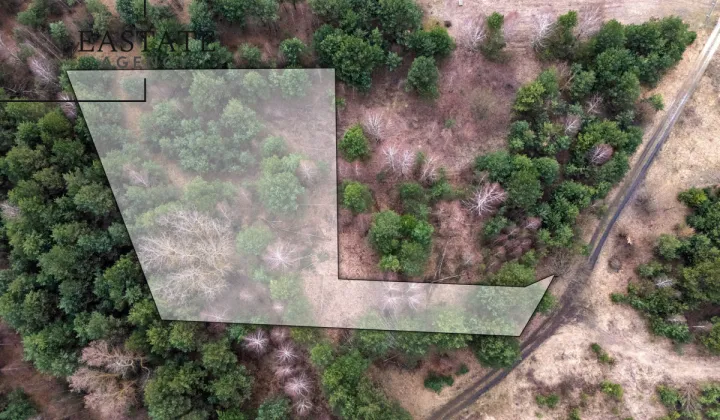 Działka budowlana Kędzierówka