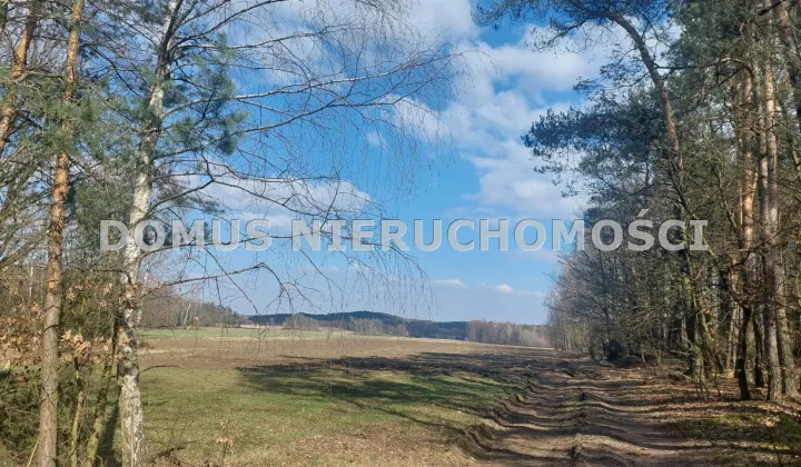 Działka inwestycyjna Grzmiąca