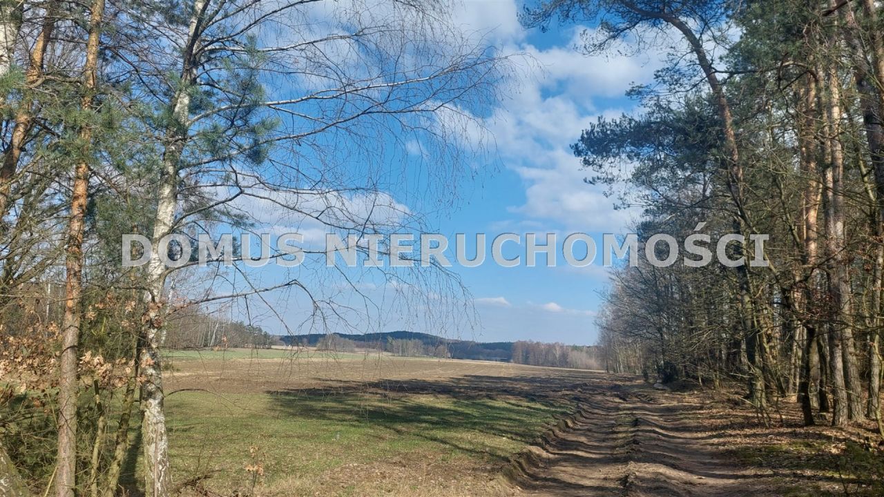 Działka inwestycyjna Grzmiąca. Zdjęcie 1