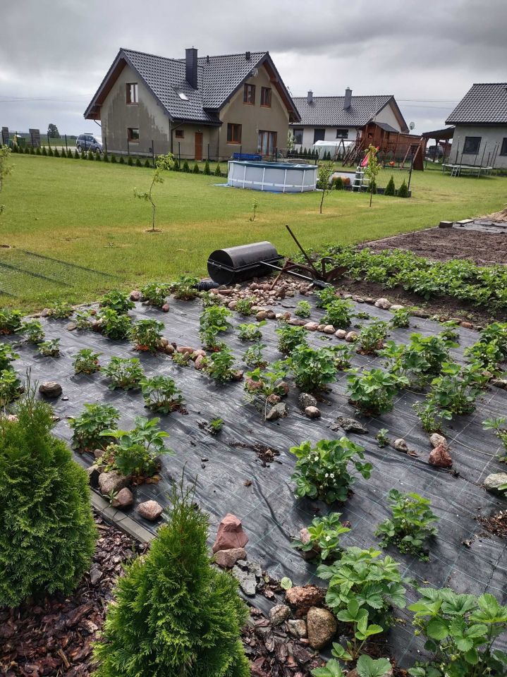 Działka budowlana Jacewo. Zdjęcie 7