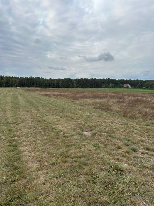 Działka budowlana Nowe Dąbie. Zdjęcie 3