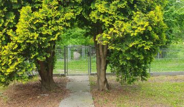 Działka rod Warszawa Mokotów, ul. Wirażowa