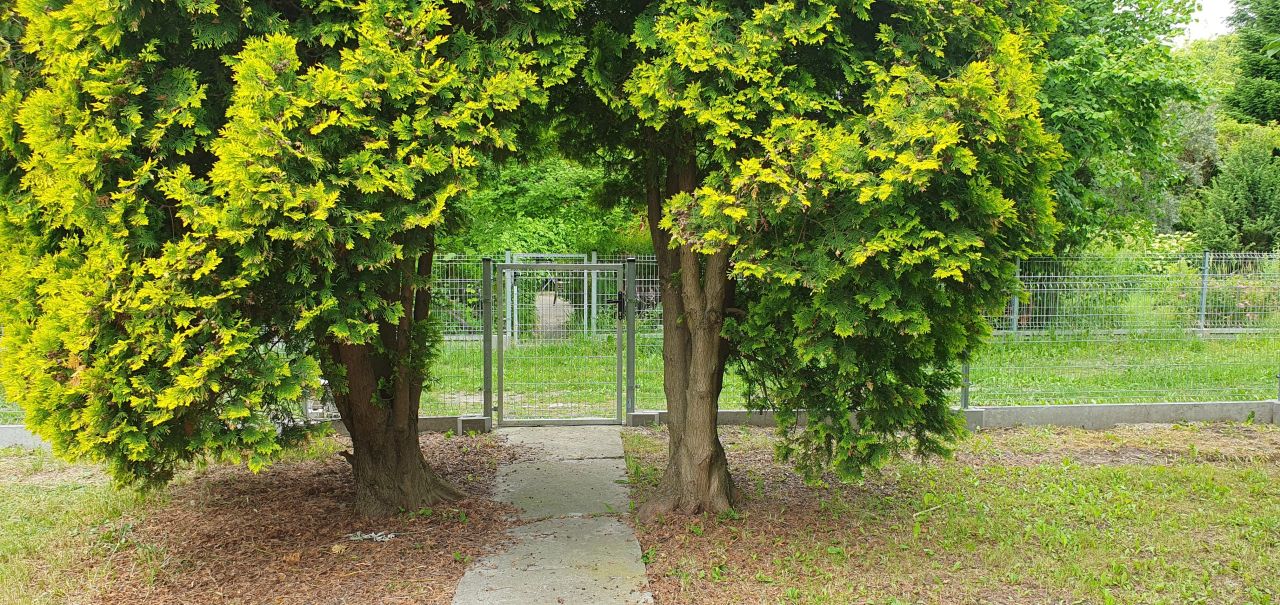 Działka rod Warszawa Mokotów, ul. Wirażowa. Zdjęcie 2