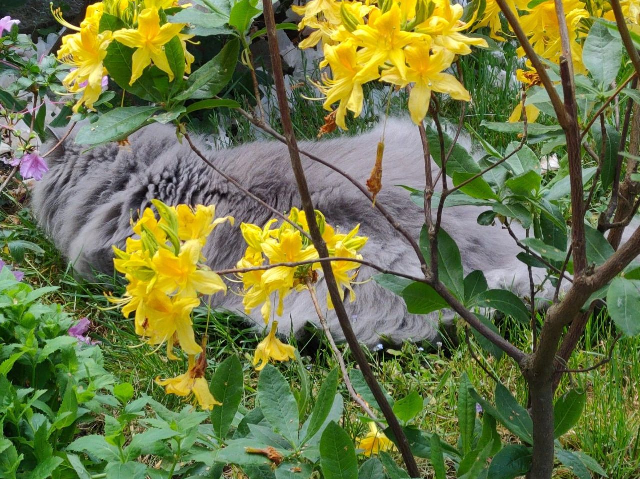 dom wolnostojący, 12 pokoi Radwanice, ul. Konstantego Ildefonsa Gałczyńskiego. Zdjęcie 36