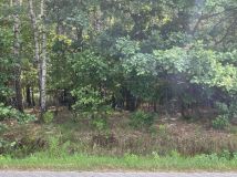 Działka budowlana Majdan Sieniawski. Zdjęcie 3