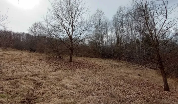 Działka rolna Gaj, ul. Zadziele