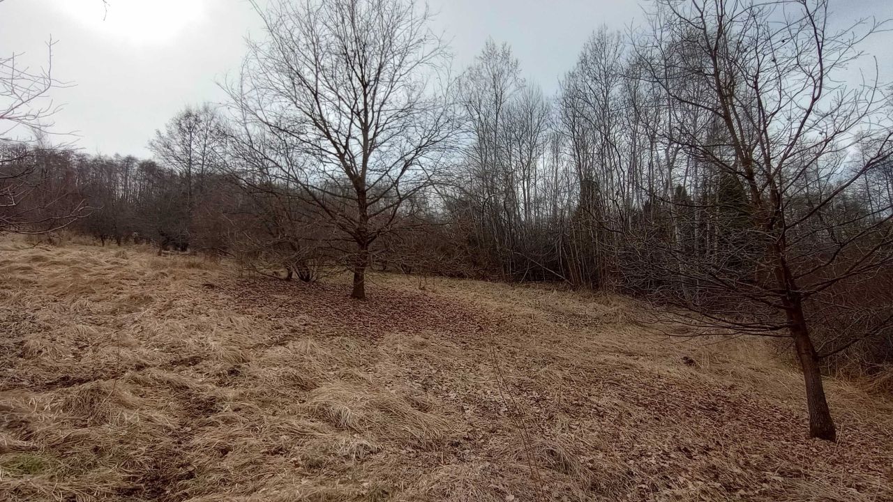 Działka rolna Gaj, ul. Zadziele