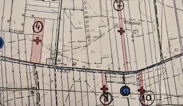 Działka rolna Przespolew Kościelny