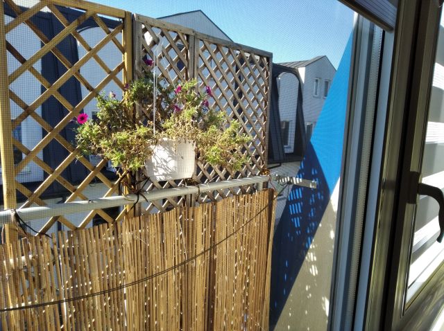 Mieszkanie 2-pokojowe Piaseczno, ul. Stanisława Staszica. Zdjęcie 7