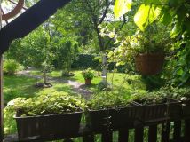 Działka rod Biedrusko. Zdjęcie 2