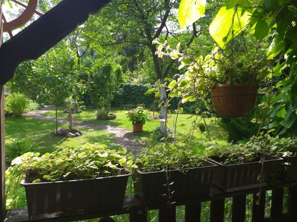 Działka rod Biedrusko. Zdjęcie 3