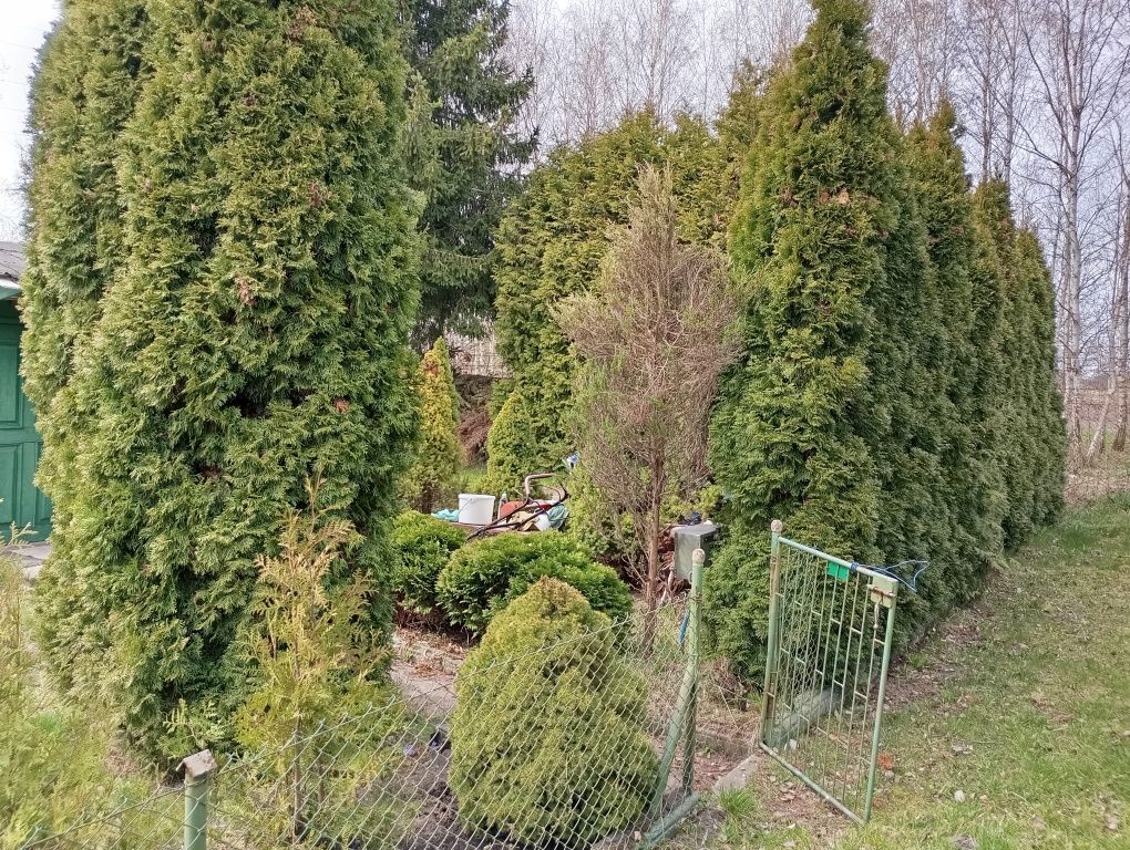 Działka rod Zduńska Wola, ul. Grzybowa. Zdjęcie 2