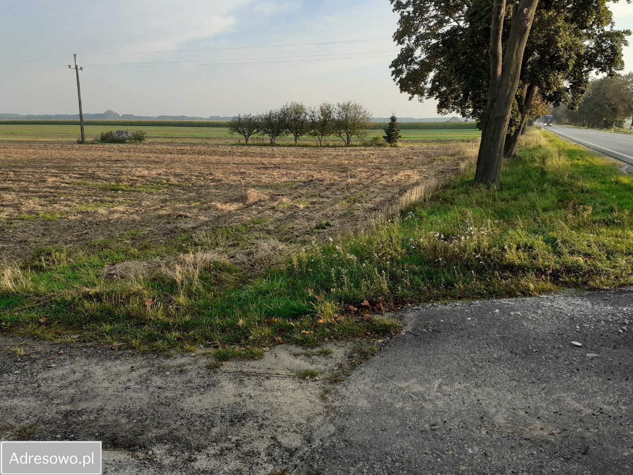Działka rolno-budowlana Bolewice. Zdjęcie 2