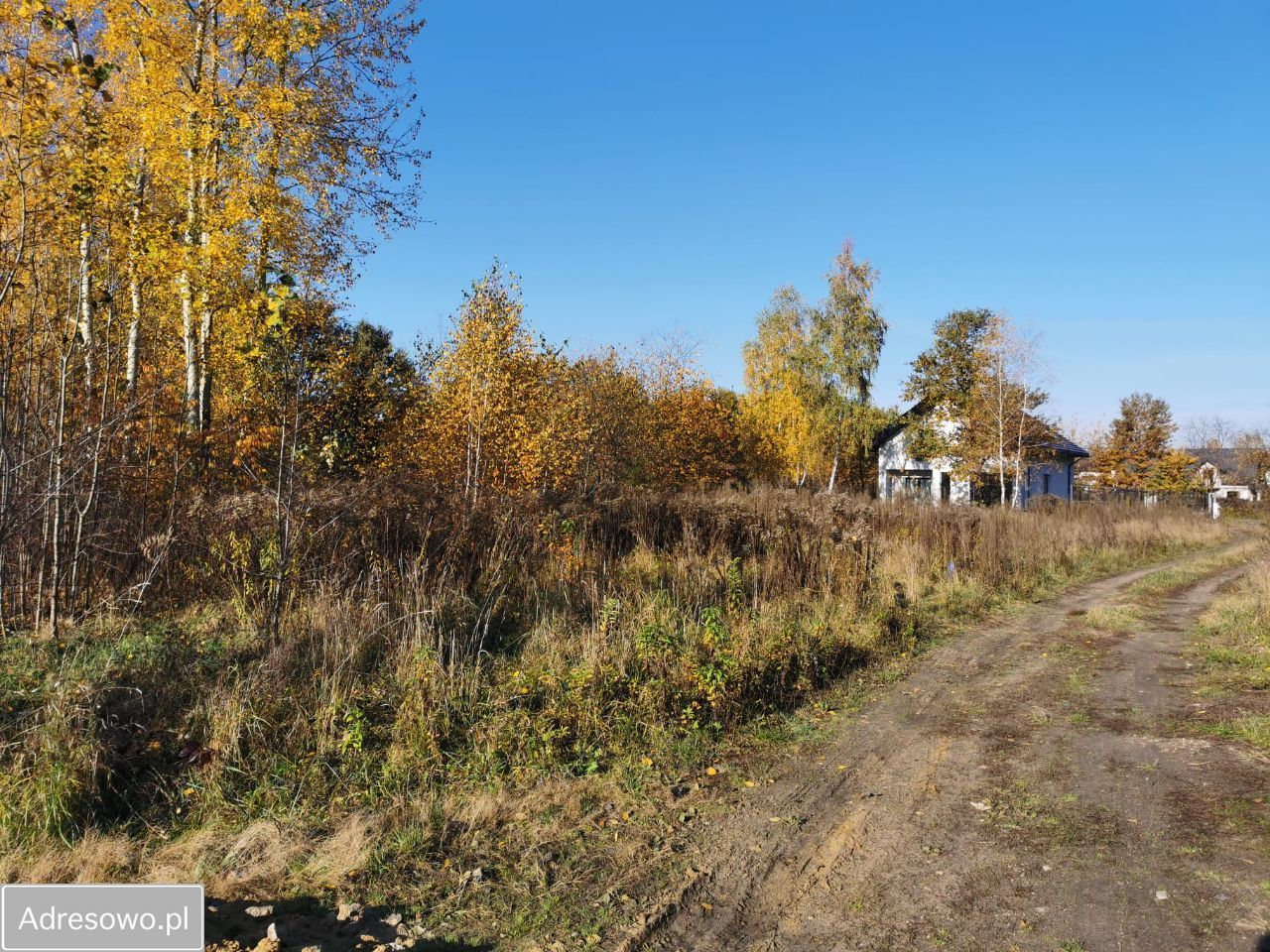 Działka budowlana Brwinów, ul. Brzoskwiniowa. Zdjęcie 6