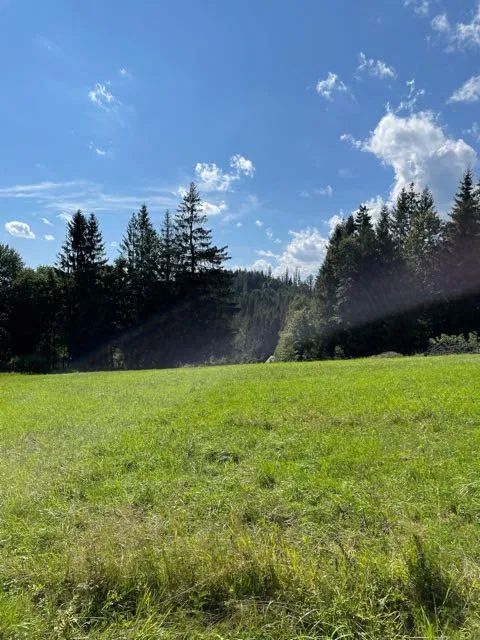 Działka budowlana Laliki. Zdjęcie 4