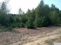 Działka budowlana Toporów. Zdjęcie 2