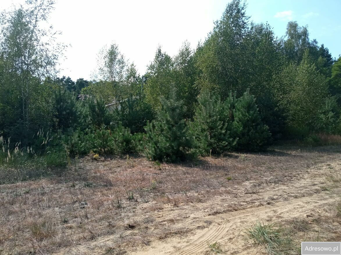 Działka budowlana Toporów. Zdjęcie 3