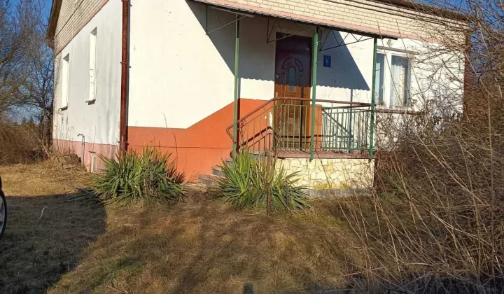 dom wolnostojący Skowieszynek