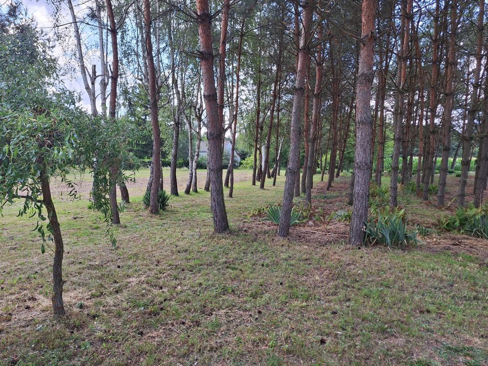 dom wolnostojący Poraj. Zdjęcie 3