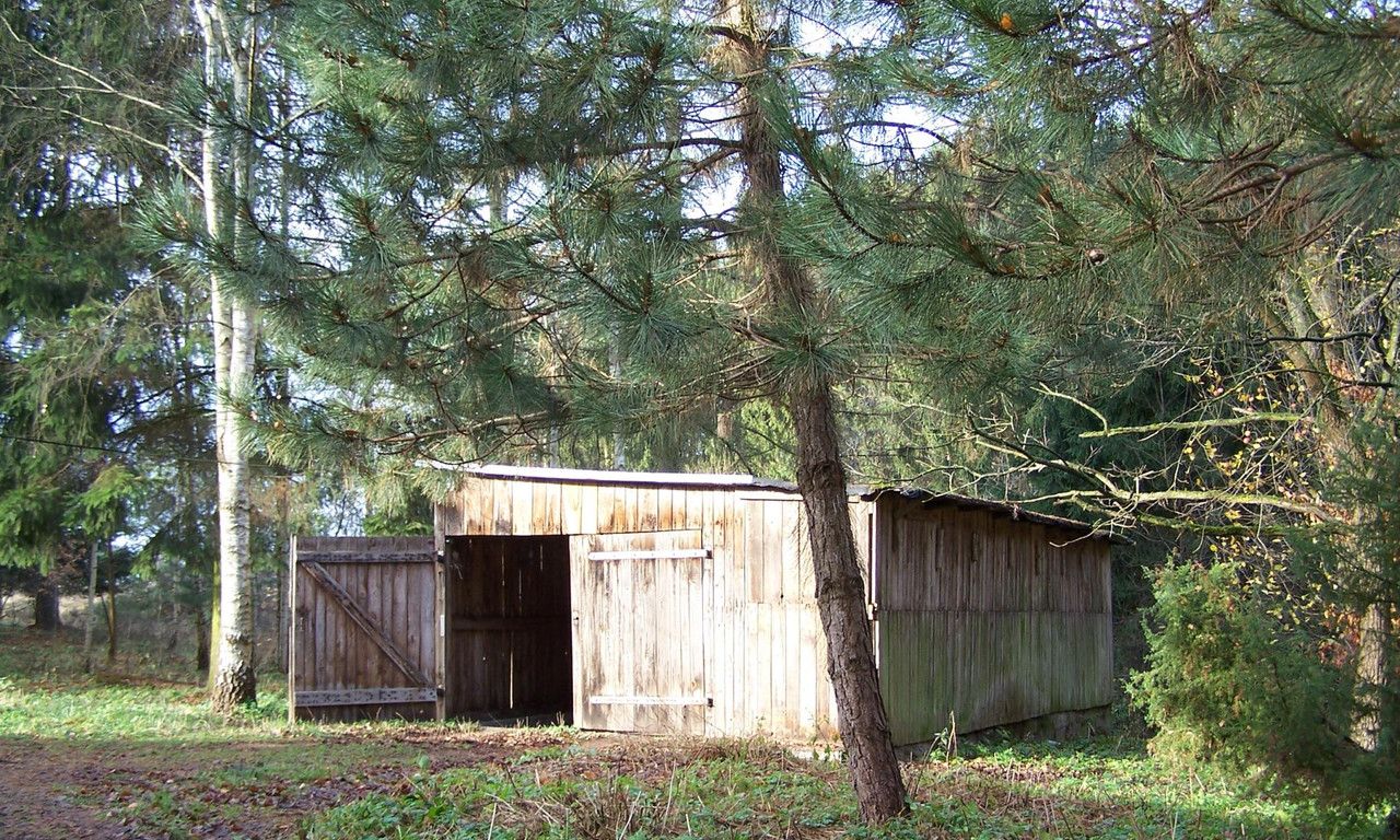 dom wolnostojący, 3 pokoje Adamowo. Zdjęcie 9