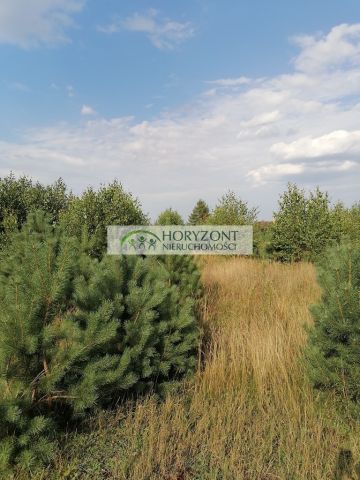 Działka Koleczkowo. Zdjęcie 2