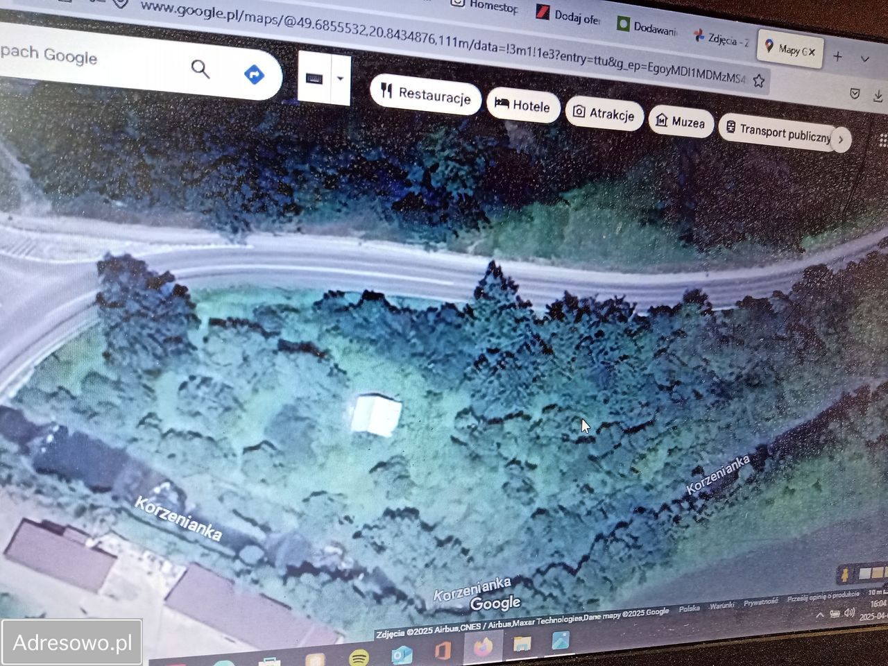 Działka inwestycyjna Korzenna. Zdjęcie 2