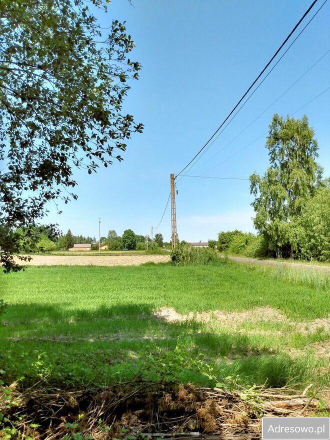 Działka leśna Wólka Kościeniewicka