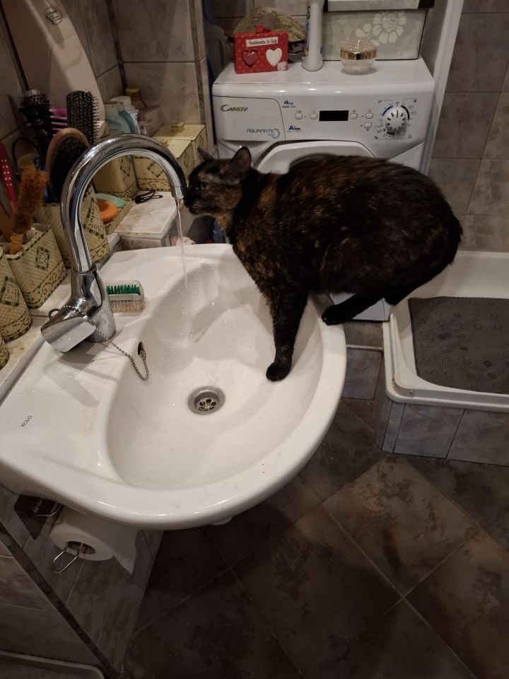 Mieszkanie 4-pokojowe Rybnik Maroko-Nowiny, ul. Chabrowa. Zdjęcie 8