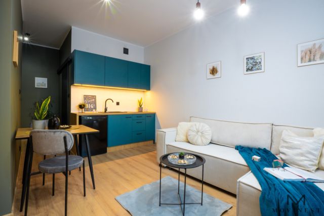 Mieszkanie 1-pokojowe Poznań Jeżyce, ul. Żurawia. Zdjęcie 2