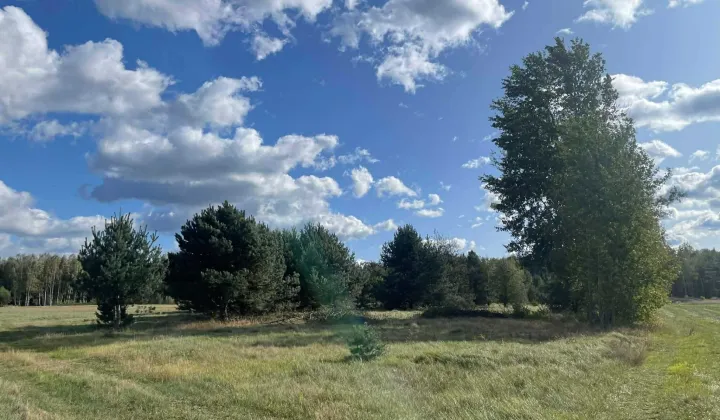 Działka budowlana Wólka Mlęcka