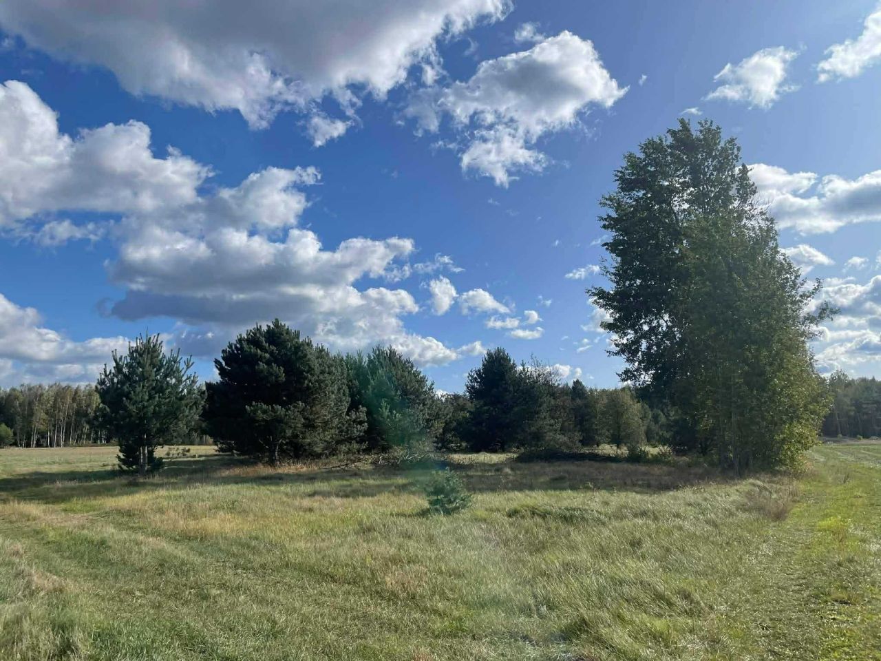 Działka budowlana Wólka Mlęcka. Zdjęcie 1