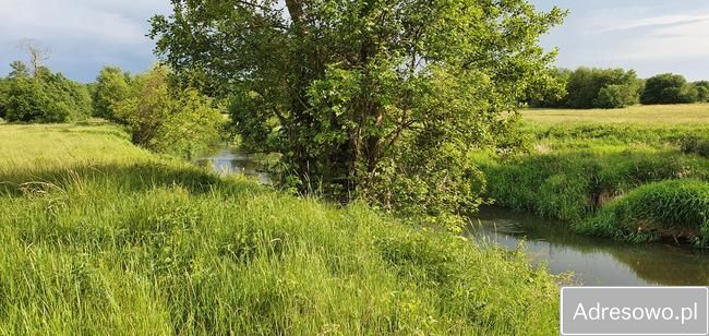 Działka rekreacyjna Ceteń. Zdjęcie 7