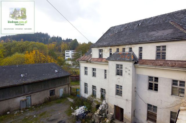 Lokal Duszniki-Zdrój. Zdjęcie 4
