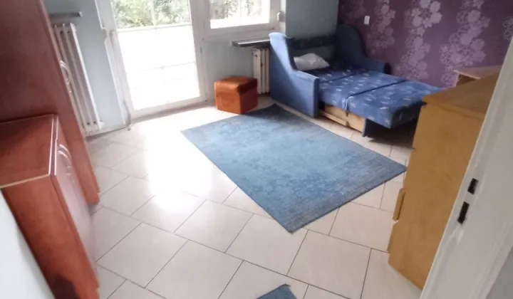 dom wolnostojący, 6 pokoi Poznań Stare Miasto, ul. Obornicka