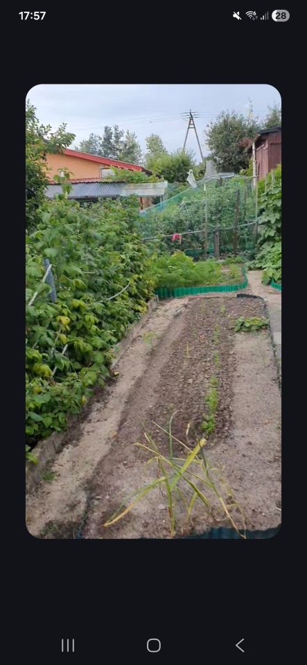 Działka rod Złotów, ul. Jastrowska. Zdjęcie 6