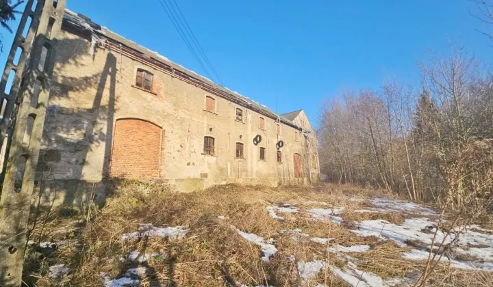 dom, 5 pokoi Czernica