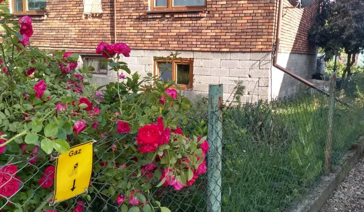 dom wolnostojący, 5 pokoi Kraków Przewóz, ul. Rączna