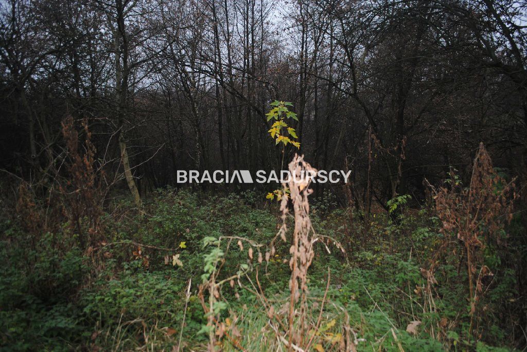 Działka rolna Libertów. Zdjęcie 12