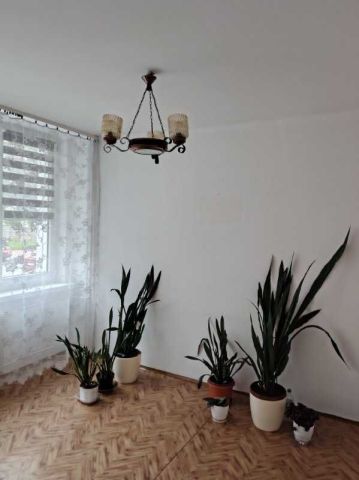 Mieszkanie 2-pokojowe Sosnowiec Pogoń, al. Józefa Mireckiego. Zdjęcie 1