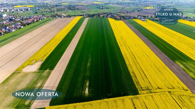 dom wolnostojący, 2 pokoje Budzyń. Zdjęcie 18