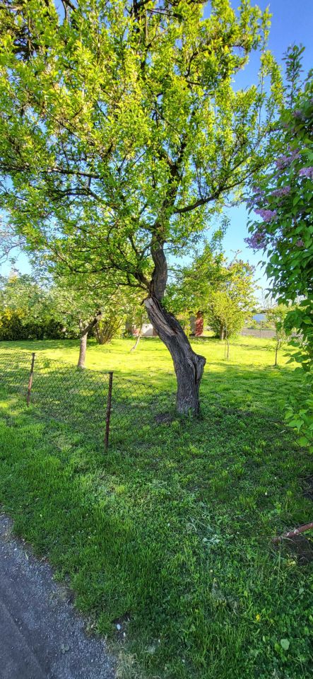 Działka rod Nowe Skalmierzyce. Zdjęcie 4