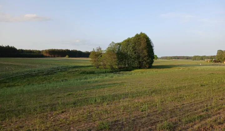 Działka rolno-budowlana Popielewo