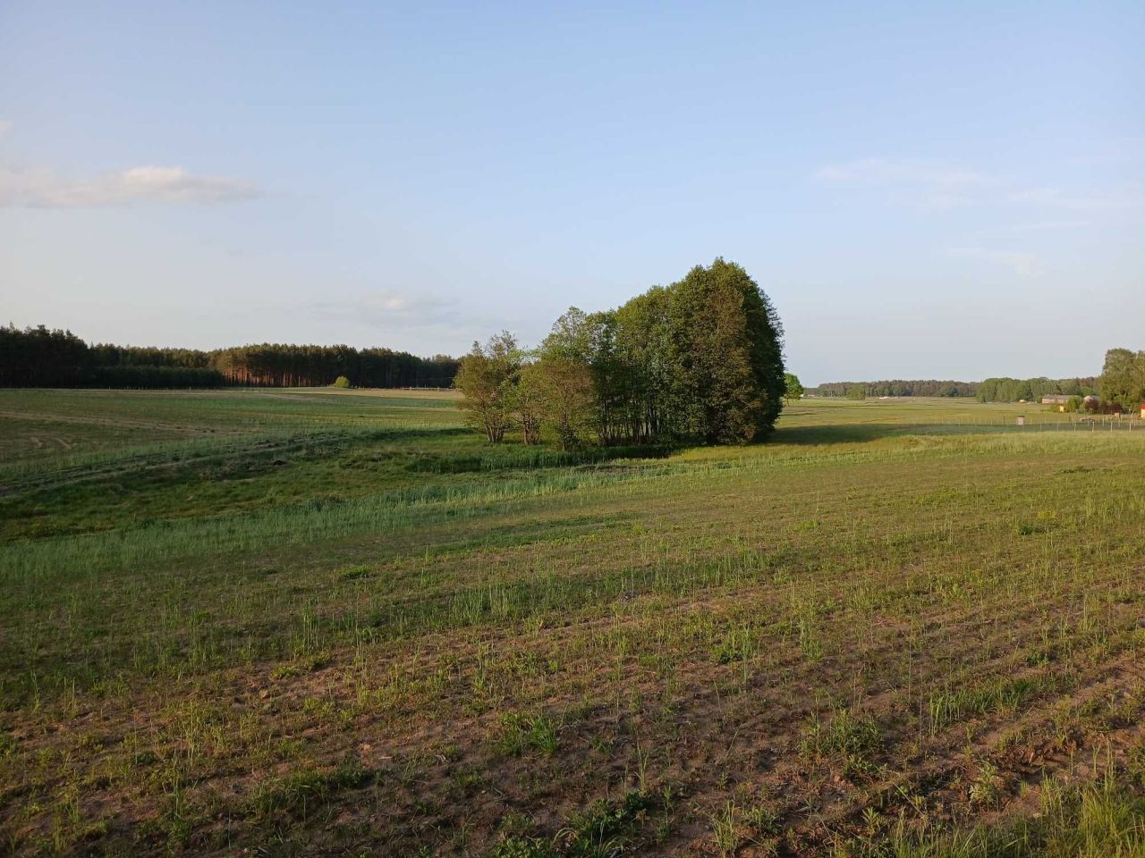 Działka rolno-budowlana Popielewo. Zdjęcie 1