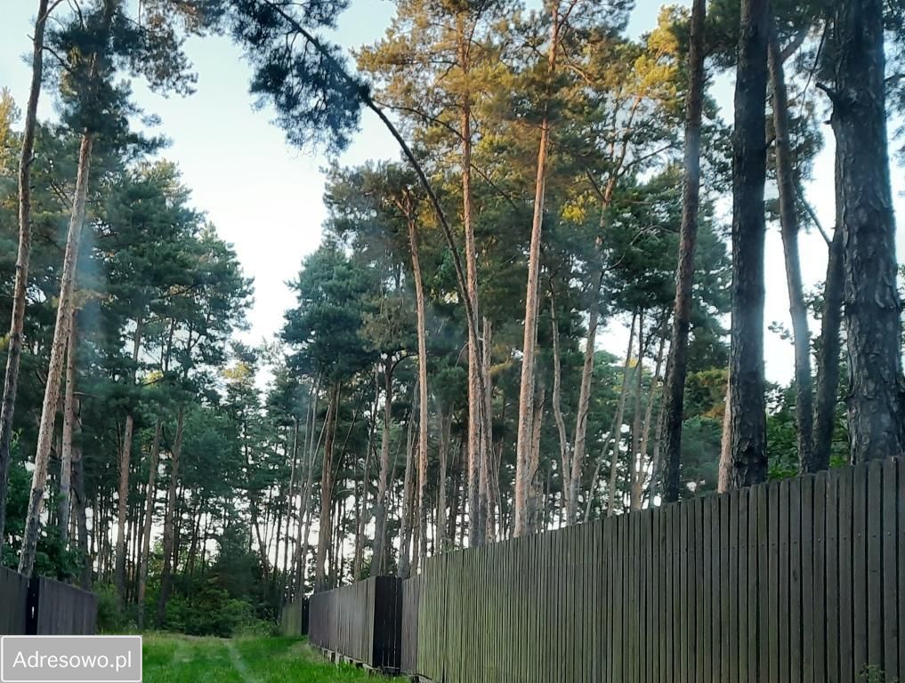 Działka leśna Słopsk. Zdjęcie 11