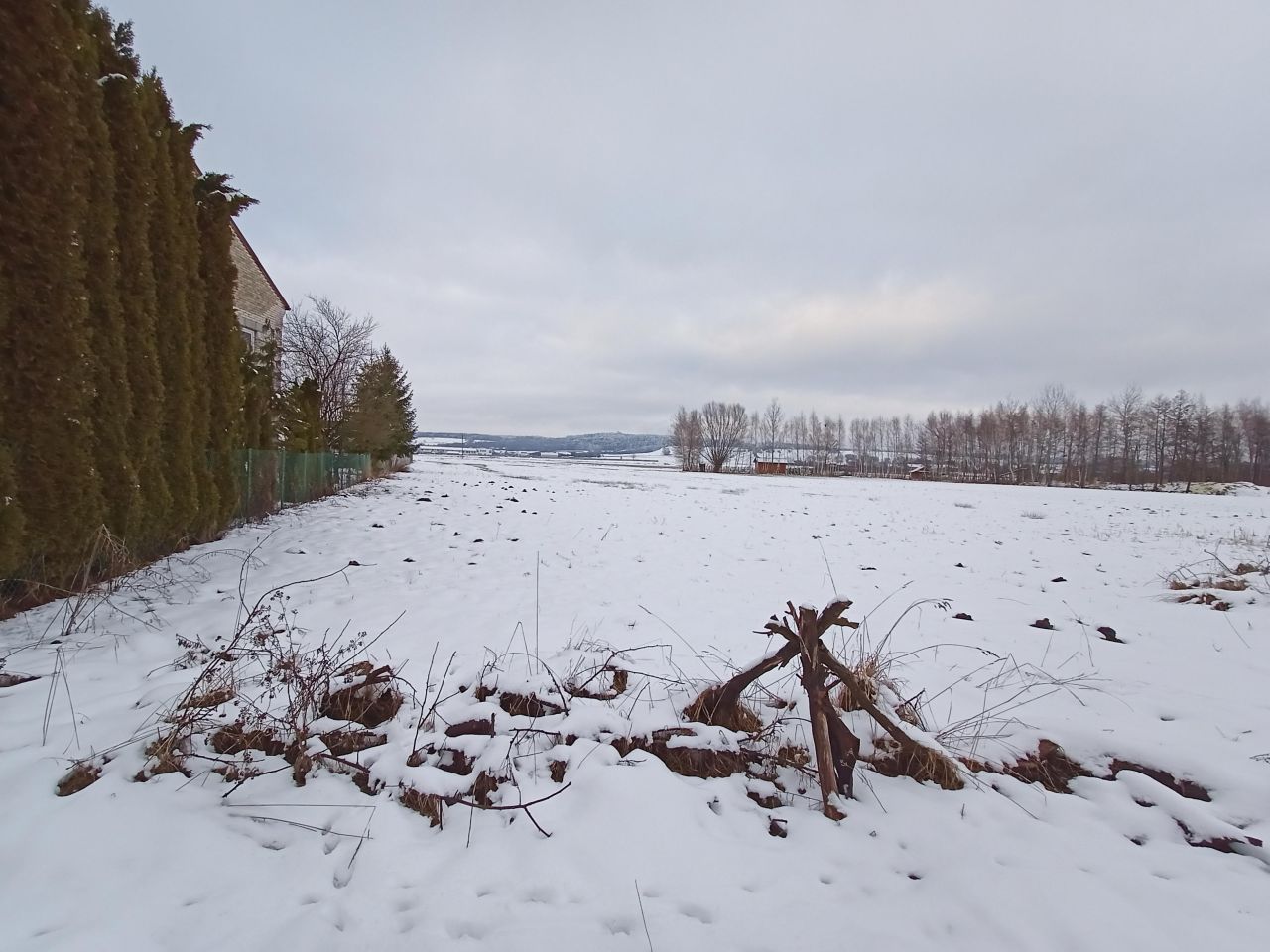 Działka budowlana Pasturka Krzywda